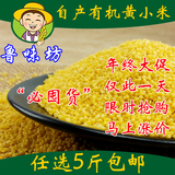 2015新有机自产黄小米小黄米月子米杂粮新米宝宝米营养米500g包邮