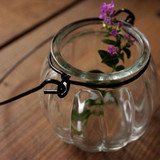 南瓜玻璃小挂瓶水培植物吊瓶铁圈玻璃南瓜瓶布丁杯蜡烛吊瓶