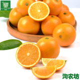 淘农坊 湖南特产正宗永兴有机甜橙新鲜水果橙子现摘冰糖橙 20斤