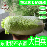 东北新鲜蔬菜大白菜农家大白菜小白菜无公害有机腌酸菜5斤包邮