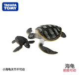 Takara Tomy正版 仿真海洋动物可动模型 动物园系列 海龟母子
