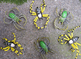 PV仿真实心昆虫动物模型玩具 毒蜘蛛 毒寡妇 彩色蜘蛛 造型逼真