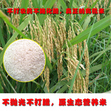 农家大米新米湖南祁阳农家自种有机米再生稻米孕妇宝宝月子营养米