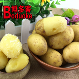 小土豆 5斤 黄心 土豆泥粉 新鲜蔬菜 农产品  生鲜马铃薯 黄洋芋