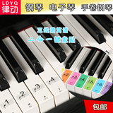 炫彩钢琴键盘贴纸 88键 61键 透明电子琴 手卷钢琴键贴五线谱简谱