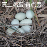 千岛湖乌鸡蛋 绿壳蛋土鸡蛋农家自养散养当天天然30孕妇产妇