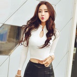 韩国代购正品韩版性感镂空半高领修身短款薄针织长袖T恤打底衫女