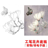 WB09高清国画花卉玉兰工笔画白描底稿线描稿练习实物电子版打印稿