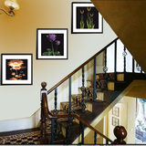 家居饰品 楼梯j处挂画壁画墙画 现代客厅装饰画三联有框画  花仙