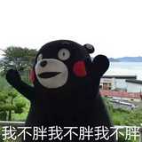可爱KUMAMO熊本熊充电宝公仔10800毫安 毛绒小巧卡通通用移动电源