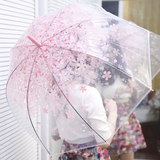 唯美樱花透明雨伞 长柄萌动漫雨伞 多色 可爱清新女神必备伞包邮