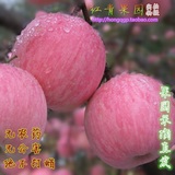 山东烟台红富士苹果新鲜水果脆甜有机孕妇好吃包邮9省