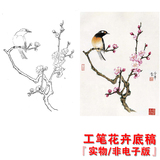 YB11高清国画花卉花鸟工笔画白描底稿线描稿练习实物电子版打印稿