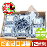 新鲜水果 进口智利有机蓝莓原箱12盒装 新鲜蓝莓 北京配送