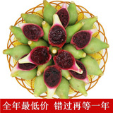 仙人掌果 仙人果 10斤装 海南水果新鲜 三亚新鲜热带水果仙桃