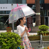 浩宏透明綠蔭傘泡泡傘阿波羅傘鸟笼图案雨伞創意 透明雨伞