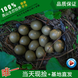 农家新鲜自养绿色有机绿壳野山鸡蛋非土鸡蛋草鸡蛋鹅蛋40枚装预售