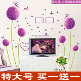 包邮 温馨浪漫紫色花球蒲公英 卧室客厅电视背景墙装饰壁画墙贴纸