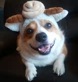 宠物帽子 猫狗通用变身帽 便便绵羊帽 星座系列帽 狗狗保暖帽