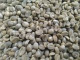 静逸阳光咖啡生豆 水洗加工卡蒂姆（通货豆）1KG（量大可发物流）