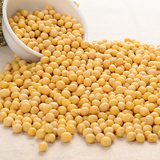 东北黄豆农家自种小黄豆杂粮特产绿色大豆打豆浆生豆芽专用500g
