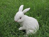 家居饰品花园装饰兔摆件树脂工艺品兔仿真树脂兔摆件情侣对兔摆设