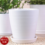 细螺纹白色陶瓷花盆现代简约欧式个性大号兰花植物盆器批发