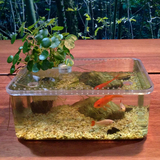 桌面小金鱼缸乌龟缸带晒台爬虫饲养盒小型迷你水族箱生态造景创意