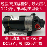 DP-170 160M隔膜泵220V 12V24V高压水泵洗车泵果树喷药大功率正品