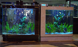 生态欧式子弹头玻璃金鱼缸水族箱1.2米屏风隔断玄关吧台免换水
