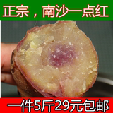 广州特产南沙糖心一点红番薯沙地红薯地瓜山芋新鲜紫红薯5斤包邮