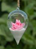 悬挂透明水晶玻璃花瓶 现代欧式玻璃吊球 创意水培花器 婚庆吊饰