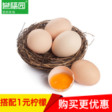 【誉福园】新鲜橘园散养土鸡蛋 农家土柴鸡蛋 笨鸡蛋 草鸡蛋20枚