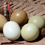 新鲜七彩野山鸡蛋30枚买2减10 农家散养土鸡蛋