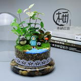 微景观青苔生态玻璃瓶创意diy龙猫桌面迷你植物盆栽送女朋友礼物