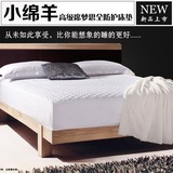 小绵羊家纺 高级席梦思全防护床垫 床褥 床罩 1.5米1.8m正品 包邮