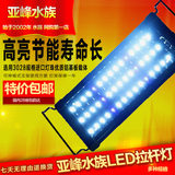 亚峰超节能高亮度鱼缸水族箱LED水草灯架拉杆蓝红白照明灯具包邮