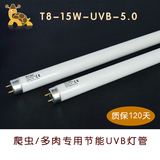爬虫陆龟蜥蜴UVB灯管5.0/多肉植物T815W节能紫外线uvb灯管