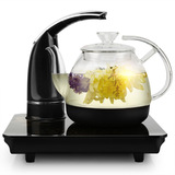 Royalstar/荣事达YSH10-Z02 养生壶 电水壶 玻璃自动上水煮茶烧水