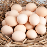 正宗新鲜纯天然土鸡蛋农家散养有机批发 宝宝满月20枚装宁波特产