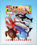 特价包邮塑料仿真7款海洋动物模型玩具大号鲨鱼海豚龙虾鲸鱼