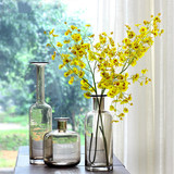 欧式透明玻璃花器 创意花瓶现代简约小口餐桌摆件 高端礼品摆设