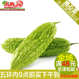 尚购24蔬果  新鲜蔬菜 新鲜苦瓜 凉瓜1斤 新发地蔬菜北京同城配送