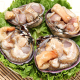 大连海鲜超大野生紫石房蛤天鹅蛋肉好吃700克上下4只冷冻海鲜贝类