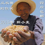 2015年新小麦 五谷杂粮 煮粥必备 小麦种子 鸽子鸡鱼饵 4斤包邮