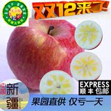 【爱果者】正宗新疆阿克苏冰糖心苹果14斤全国包邮红旗坡新鲜水果