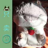 AMUSE日本仓鼠背包可爱毛绒公仔玩偶娃娃圆滚龙猫书包幼儿园2016