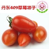 新鲜水果 409小柿子 圣女果 丹东特产 小番茄  4斤顺丰包邮