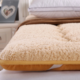 加厚法莱绒羊羔绒榻榻米床垫15m18m学生宿舍海绵折叠垫被床褥子