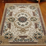 客厅茶几长方形家用欧式欧美沙发化纤吸尘床边成品地毯地毯